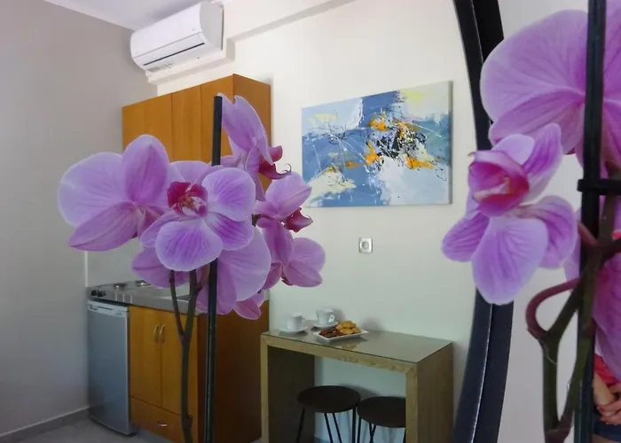 Dokos D Studios